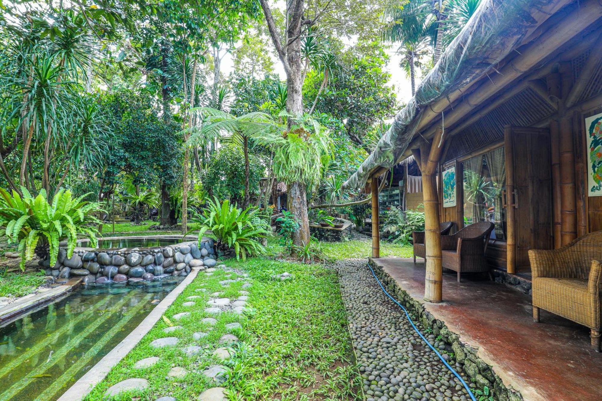 Отель Omunity Bali Сингараджа Экстерьер фото